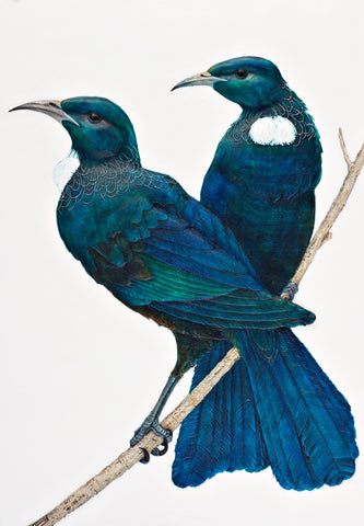 Tow Tuis print by Craig Fletcher